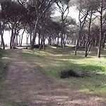 Διαμέρισμα Un Mare Di Relax Follonica