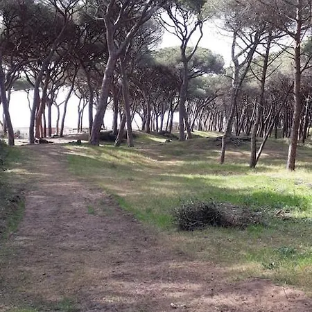 Apartment Un Mare Di Relax Follonica