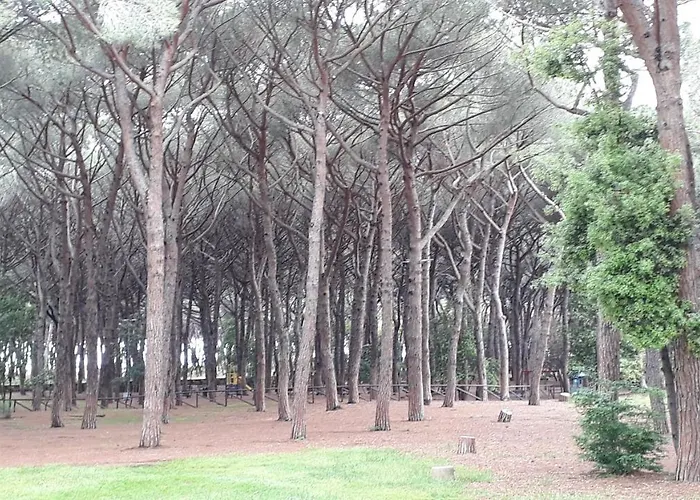 아파트 Un Mare Di Relax